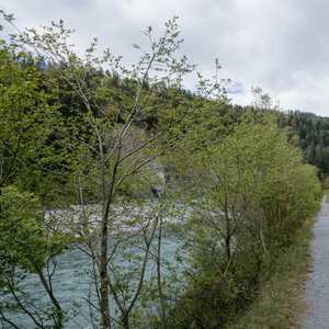 rheinschlucht-09