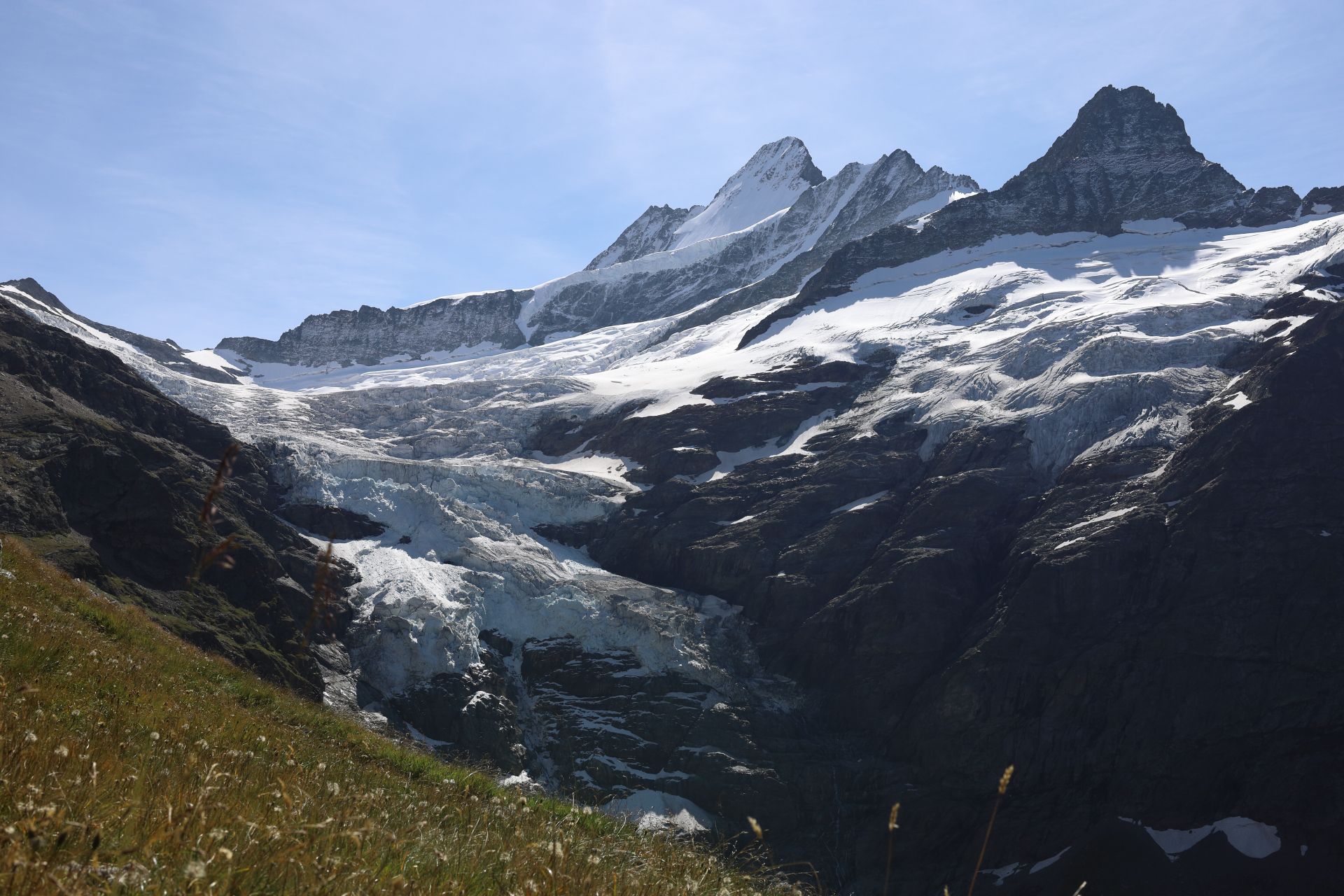 The view toward the ***Oberer Grindelwaldgletscher***.