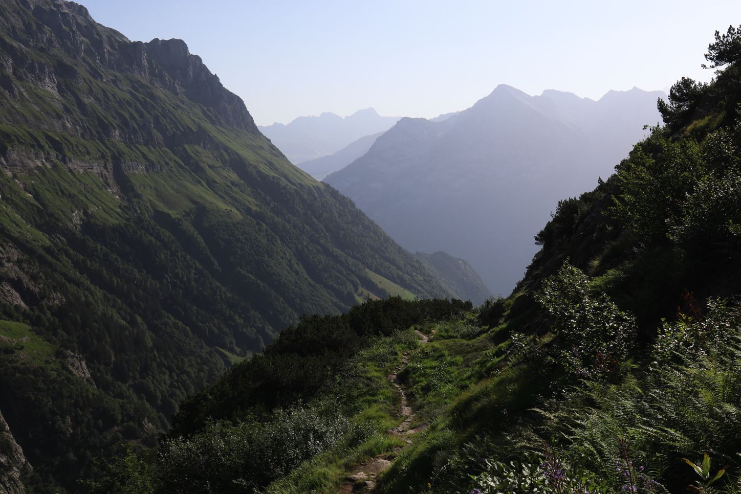 The lush vegetation near the ***Kröntenhütte***.
