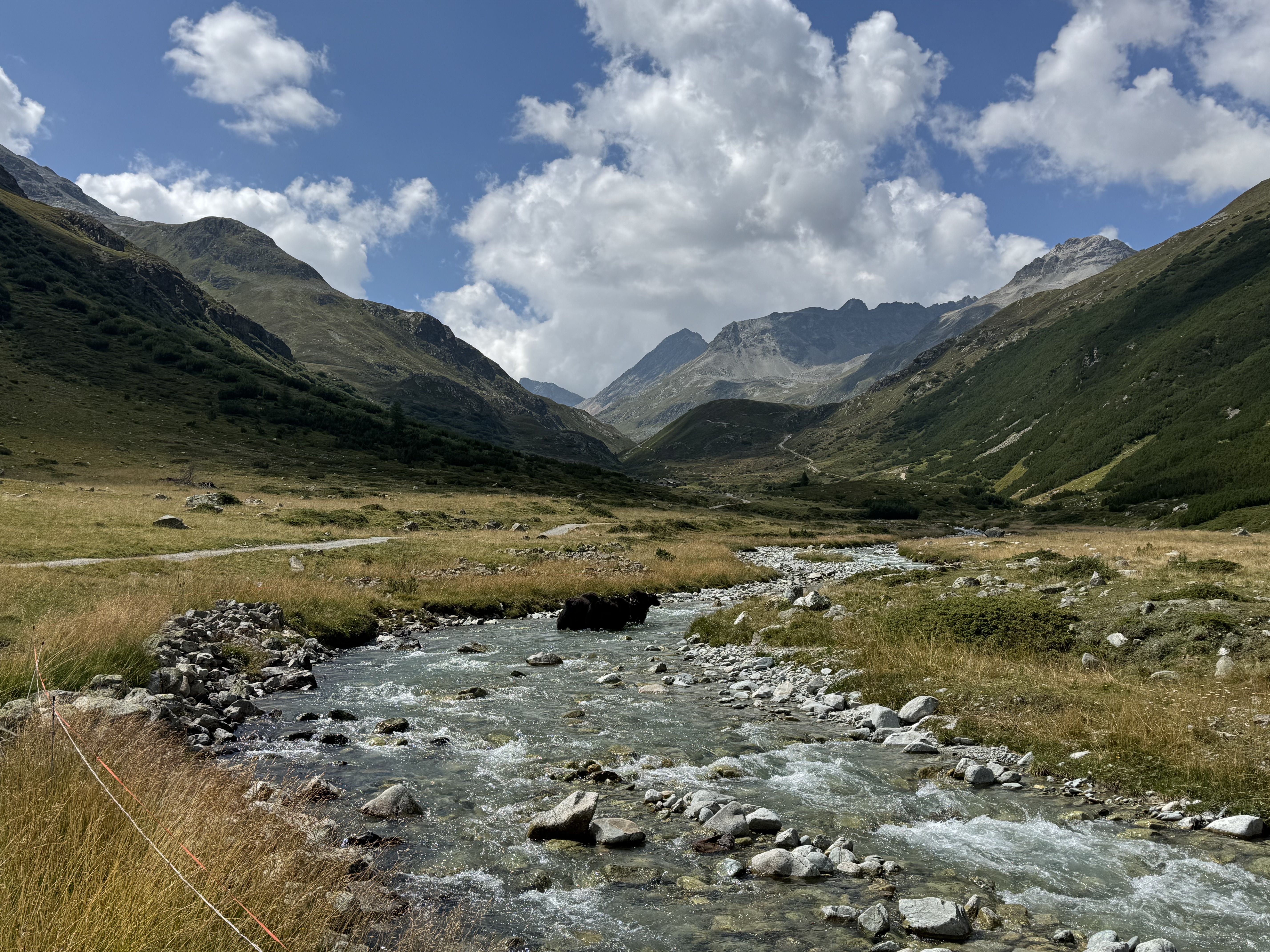 Trail running route from ***St. Moritz*** over to the ***Val Bever***