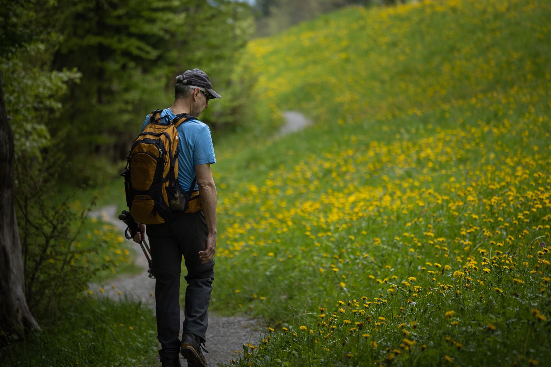Hiking in the early spring in central Switzerland.