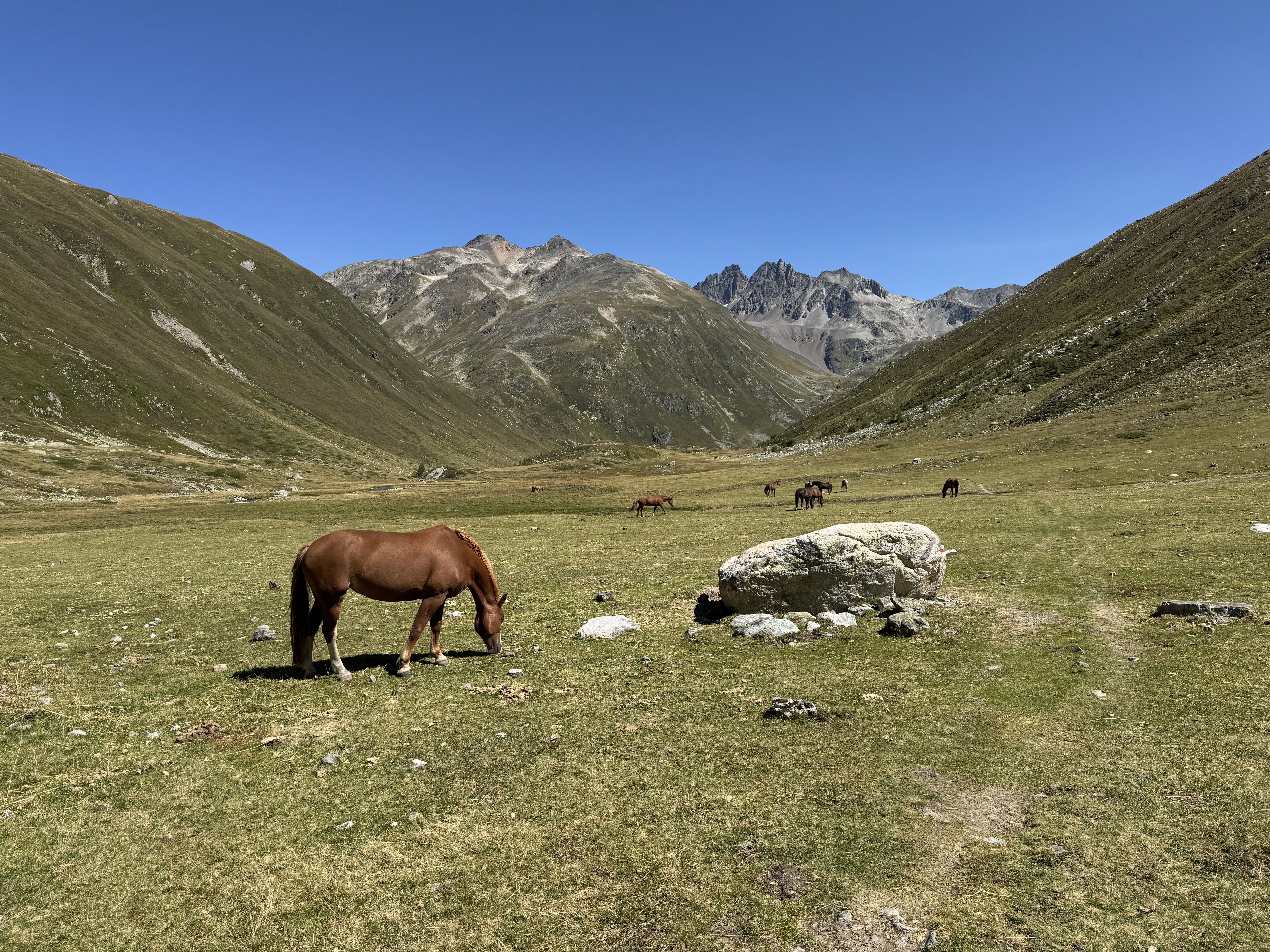 A long but extremely beautiful trail run from the ***Flüelapass*** to ***Sertig***.