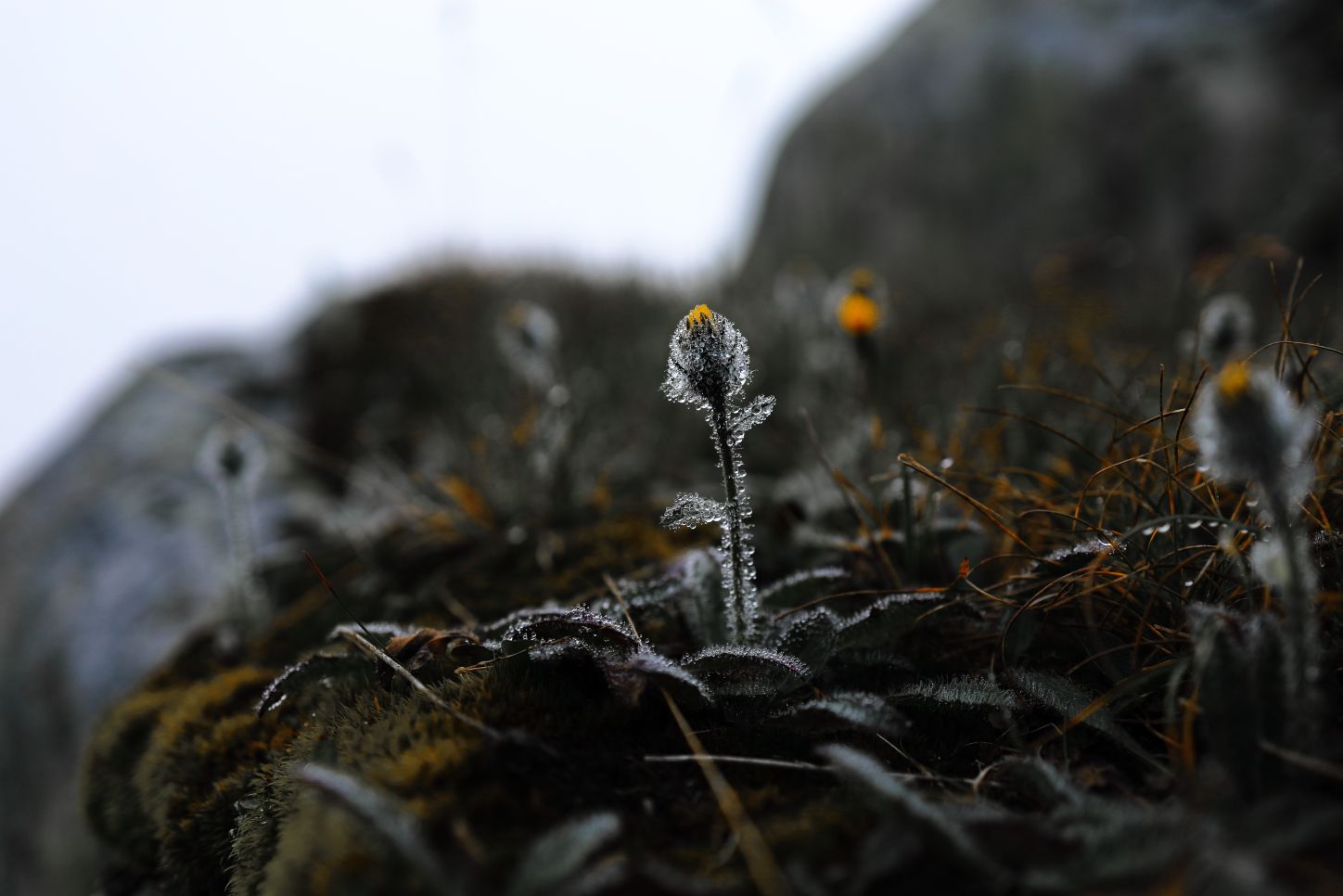 A cold summer hike on the border between the ***Wallis*** and ***Bern***.