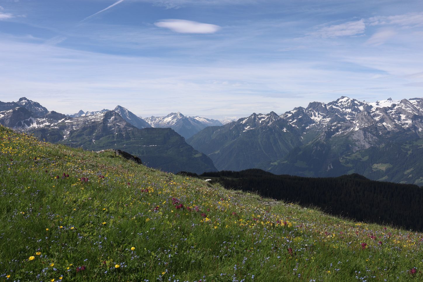 A hike to a lesser-visited peak on the border between ***Schwyz*** and ***Uri***.