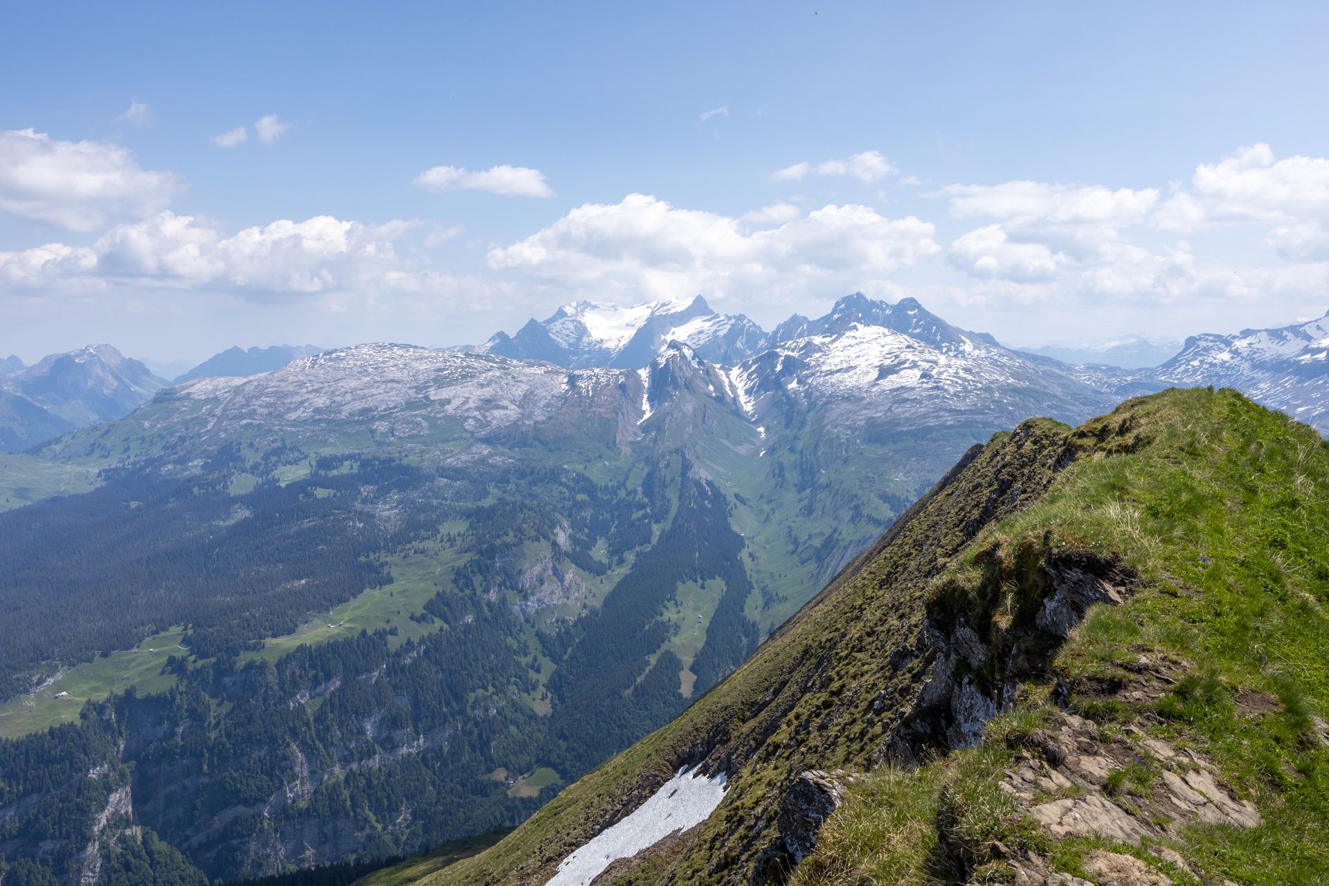An extremely steep hike above Muotathal.